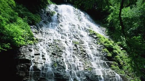 智能化精密