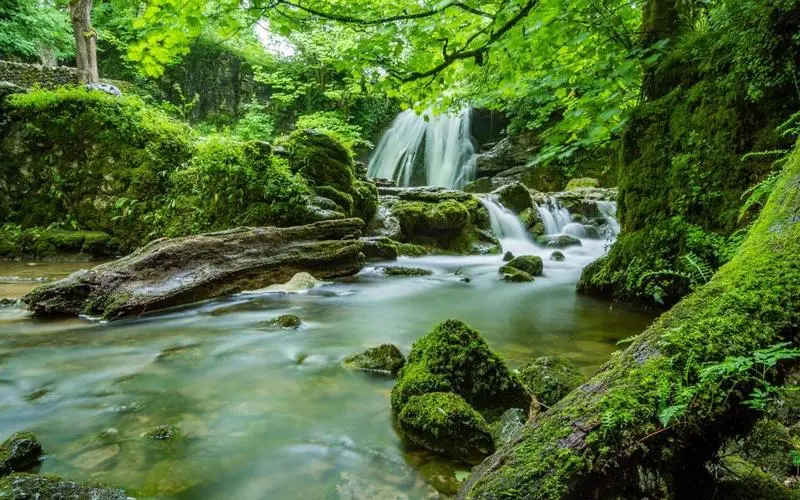 高端智能制造独特